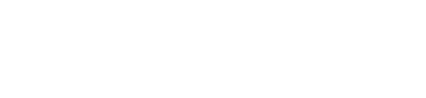 bridgecom